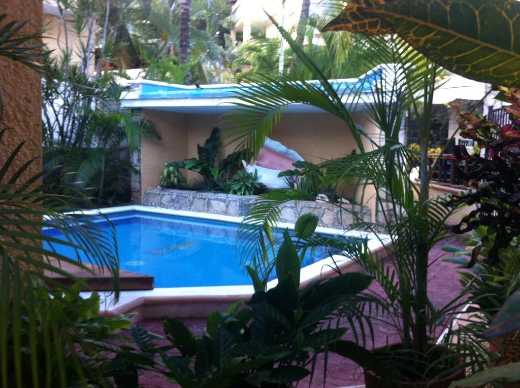 Vista Caribe Diving Resort Playa Del Carmen Eksteriør bilde